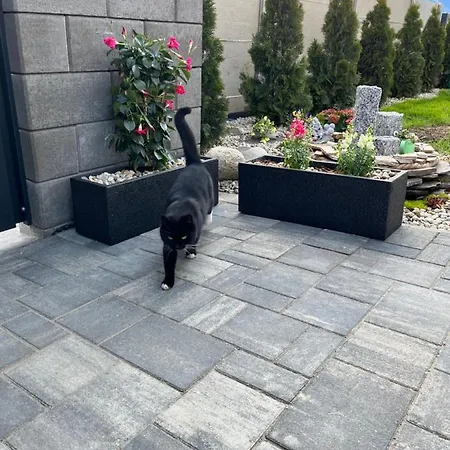 ホームステイ Lemar Wellness & *